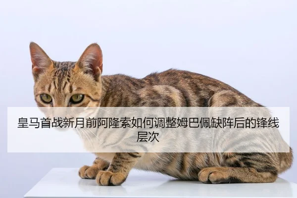 皇马首战新月前阿隆索如何调整姆巴佩缺阵后的锋线层次