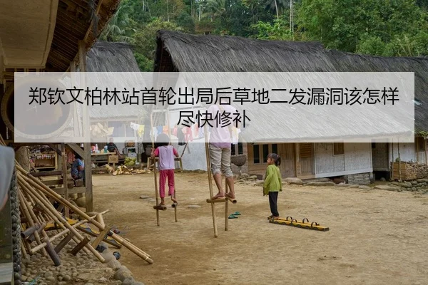 郑钦文柏林站首轮出局后草地二发漏洞该怎样尽快修补